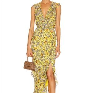 Saloni Anita Dress Citrus Jungle Monkey